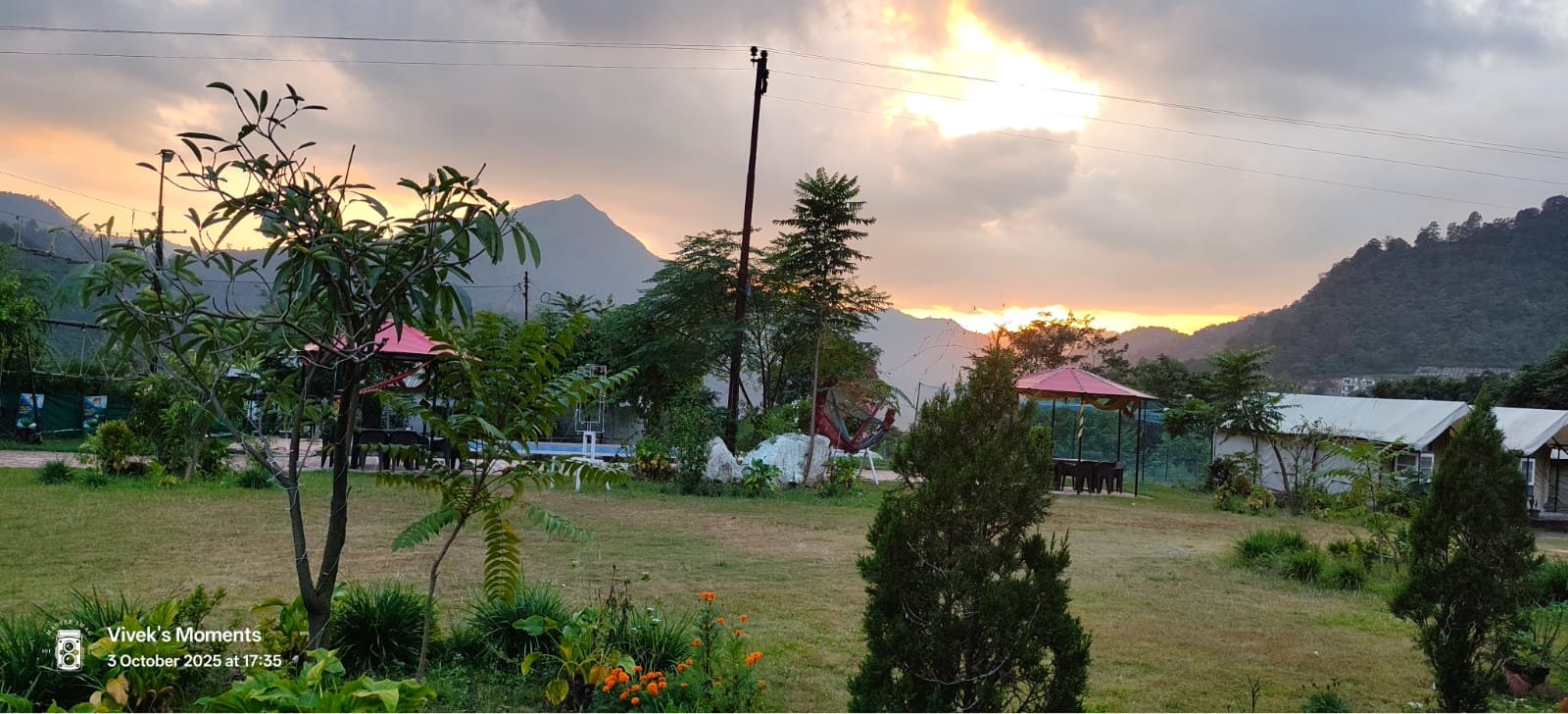 Lush Resort Gardens