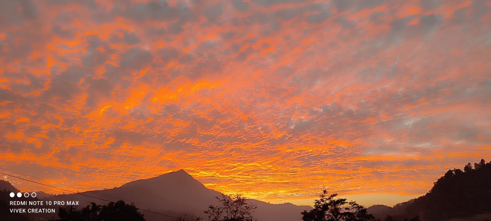 Premium Jungle Resort Rishikesh
