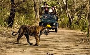 Rajaji National Park